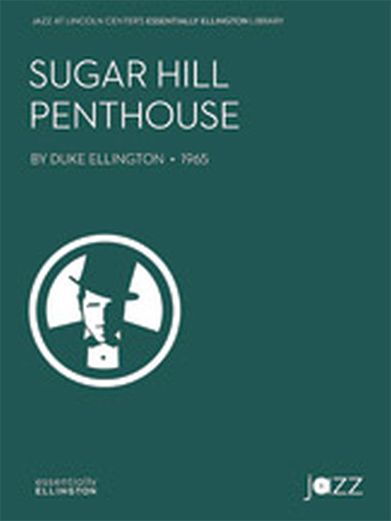 Sugar Hill Penthouse